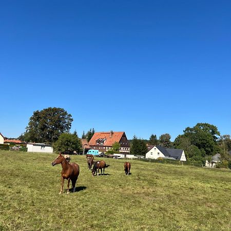 Ferienwohnung Kottmar Walddorf  Екстериор снимка