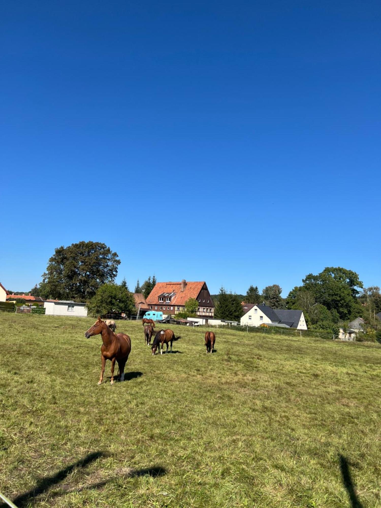 Ferienwohnung Kottmar Walddorf  Екстериор снимка